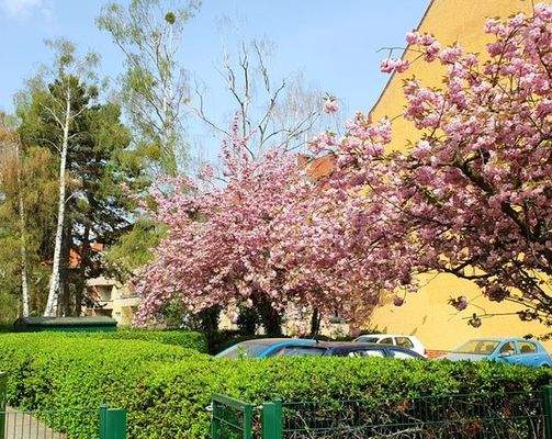 PHOTO-2024-04-08-15-27-08 (1).jpg