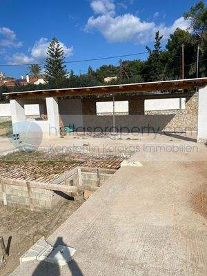 img_5a992bd5-87b5-4634-bb94-644181dbdbf1