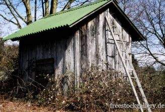 Hütte oder Traumhaus, was suchen Sie?