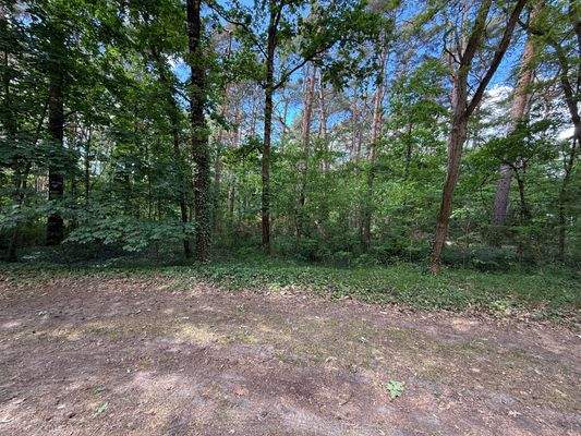 Blick auf das Grundstück