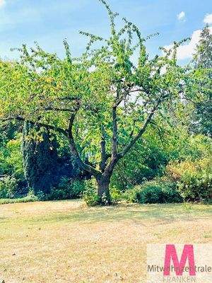  Hauseigene Parkanlage