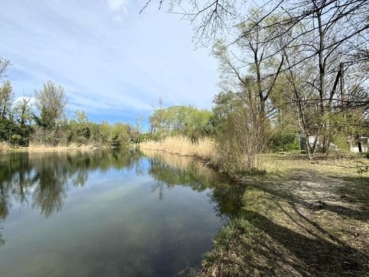 Ufer des Mühlwassers nur 20m v.d.Einfahrt entfernt