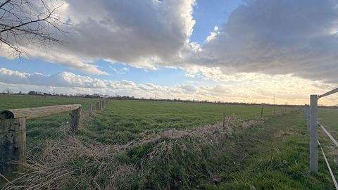 Hamminkeln Bauernhöfe, Landwirtschaft, Hamminkeln Forstwirtschaft