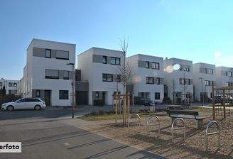 Keine Originalbilder