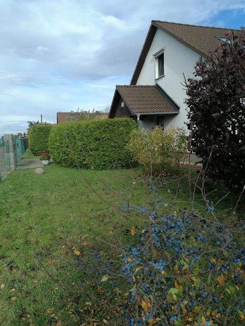 Südliches Anhalt Häuser, Südliches Anhalt Haus kaufen