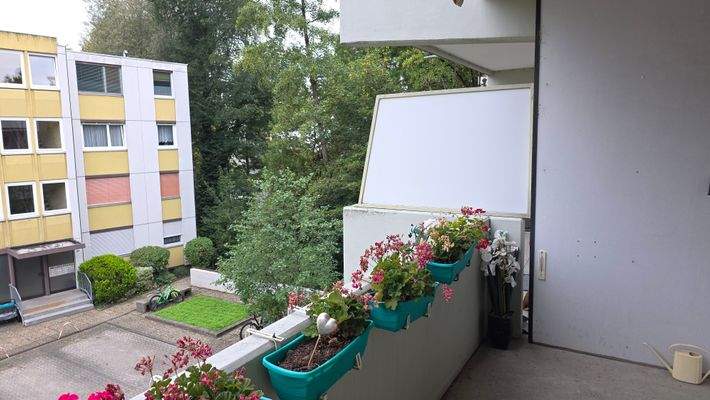 Blick vom Balkon ins Grüne