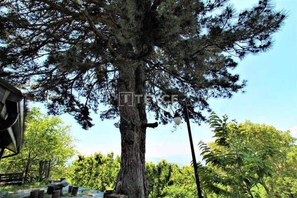 Detached Homes Intertwined with Nature on Uludag Road in Bursa