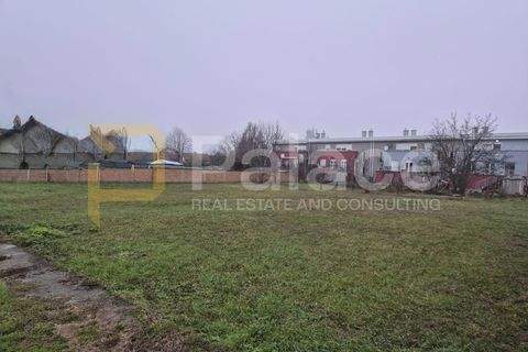 Beli Manastir Bauernhöfe, Landwirtschaft, Beli Manastir Forstwirtschaft