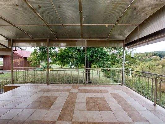 Traumhafter Blick ins Grüne