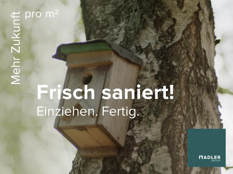 Brühl Wohnungen, Brühl Wohnung mieten