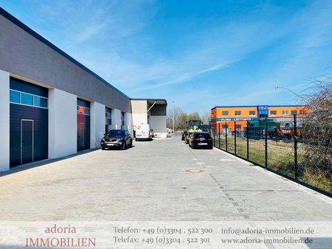 Oberkrämer / Vehlefanz Halle, Oberkrämer / Vehlefanz Hallenfläche