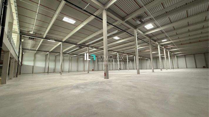 Telefon: 069 50699990