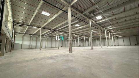 Eppertshausen Halle, Eppertshausen Hallenfläche