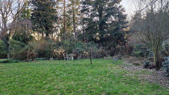 Das Baugrundstück am 19.03.2026