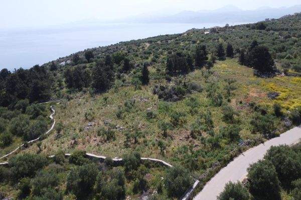 Kreta, Kefalas: Malerisches Grundstück mit Meerblick zu verkaufen