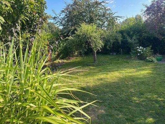 Garten mit Rasen.jpg