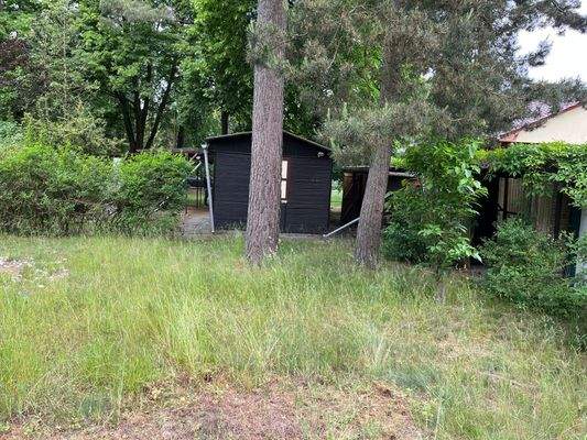 Blick Richtung Straße