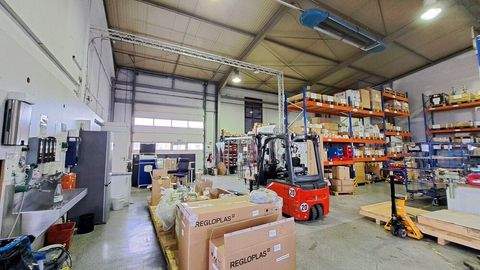 Alzenau Halle, Alzenau Hallenfläche