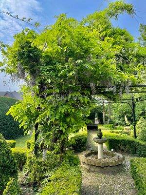 Eindrücke im Englischen Garten