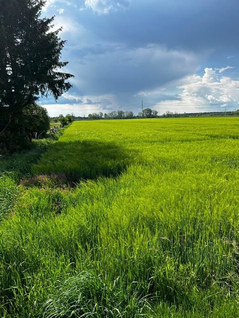 Merching Bauernhöfe, Landwirtschaft, Merching Forstwirtschaft