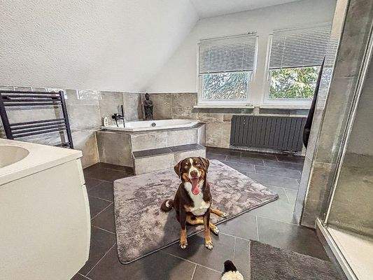 Badezimmer OG Ansicht II 