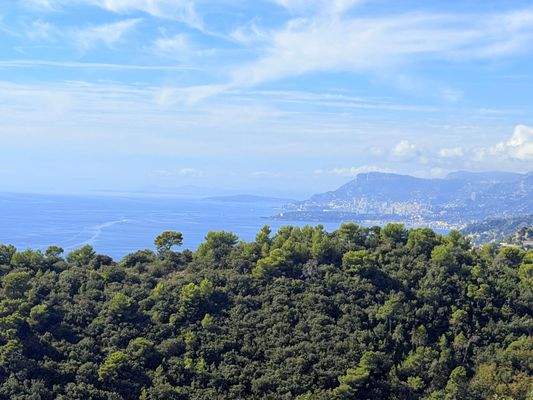 CA_514_TERRA_ITALIA_IMMOBILIEN_LIGURIEN_CAMPOROSSO