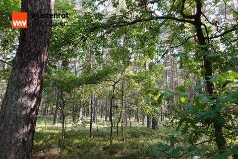 Kamenz / Zschornau Bauernhöfe, Landwirtschaft, Kamenz / Zschornau Forstwirtschaft