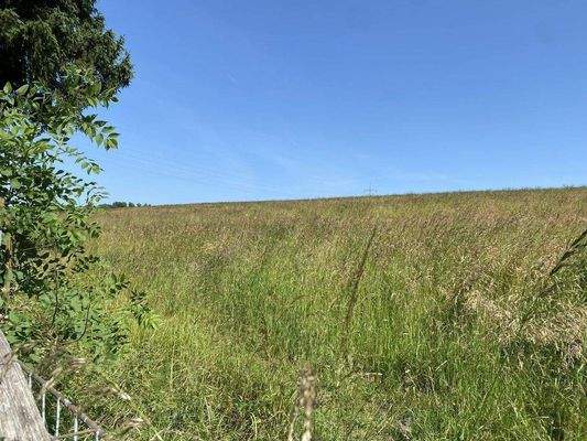 Ausblick auf das Feld - Maisonette Wohnung