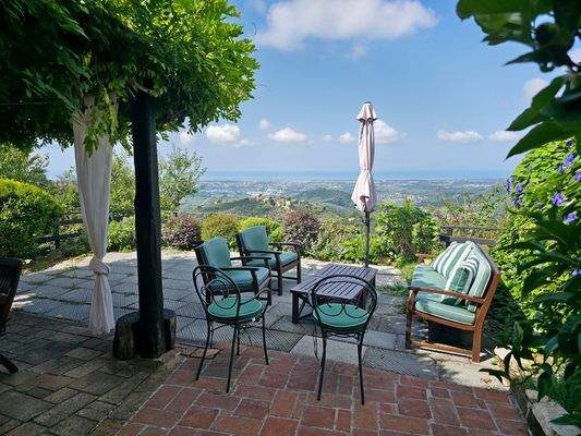 20250826_111109 - 1K JPEG.jpg