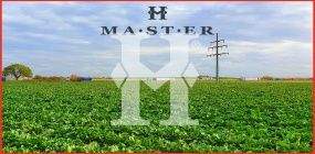 Bad Nauheim Industrieflächen, Lagerflächen, Produktionshalle, Serviceflächen