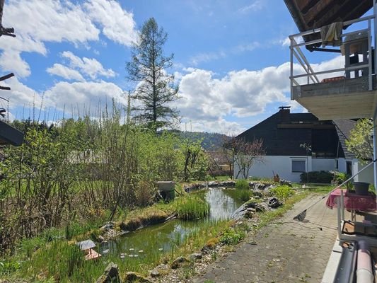 Terrasse und Teich