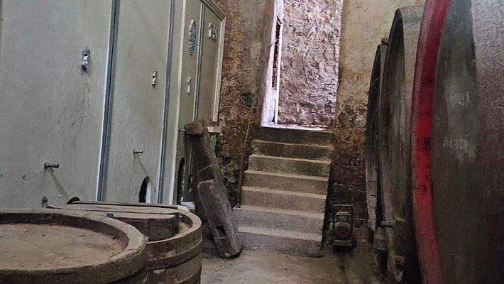 Teilansichten Weinkeller (1).jpg