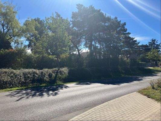 Straße vor dem Grundstück