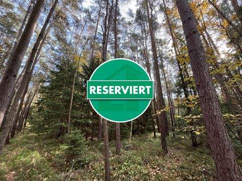 Berg Bauernhöfe, Landwirtschaft, Berg Forstwirtschaft