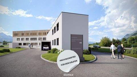 St. Johann in Tirol Halle, St. Johann in Tirol Hallenfläche