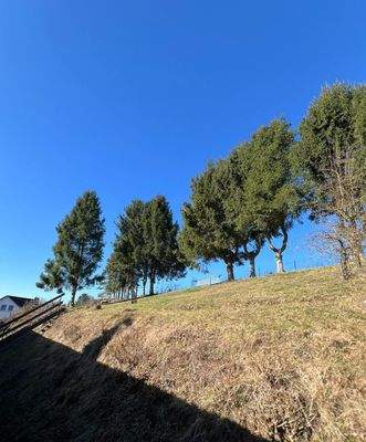 WhatsApp Image 2026-03-19 at 16.26.17 (1).jpeg