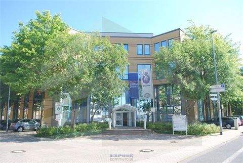 Langen Büros, Büroräume, Büroflächen 