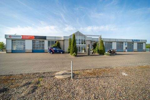 Goldenstedt Halle, Goldenstedt Hallenfläche