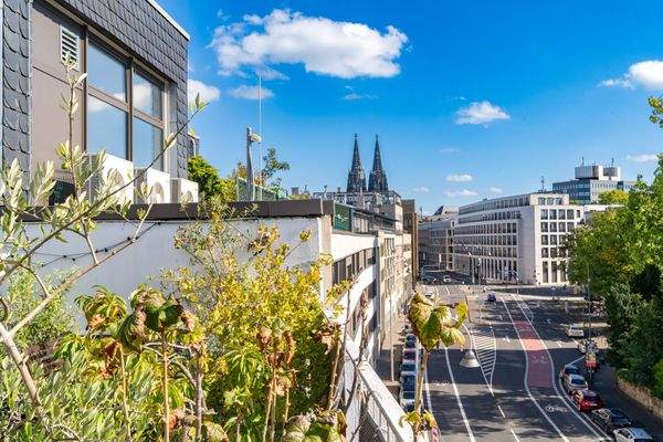 Domblick von der Dachterrasse