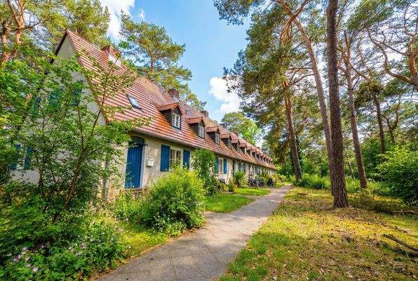 Sommer in der Waldsiedlung