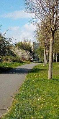 Blick auf die angrenzenden Wohnblocks