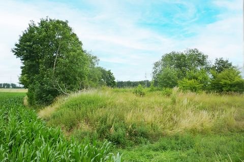 Korbach Grundstücke, Korbach Grundstück kaufen