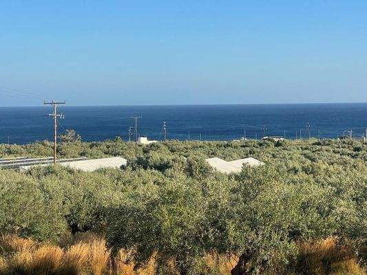 Kreta, Koutsouras: Tolles Baugrundstück in Meeresnähe zu verkaufen