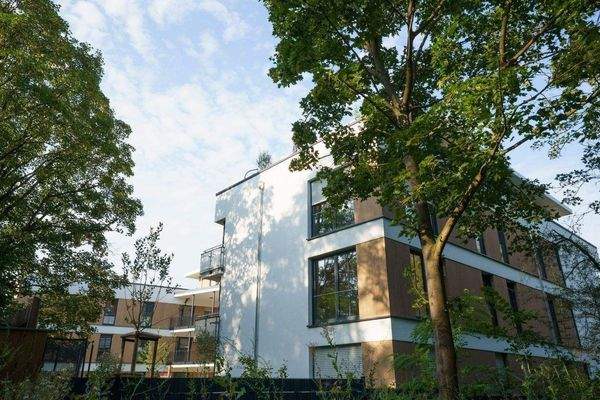 Herrlich grüne Umgebung.jpg