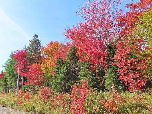 Nova Scotia - West Side Country Harbour - 52-Hekta
