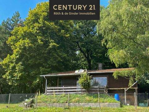 Wettenberg Häuser, Wettenberg Haus kaufen