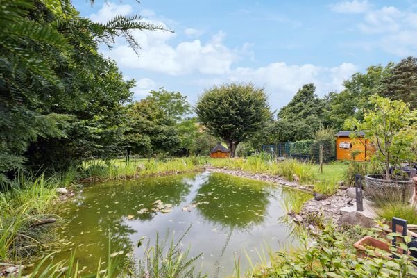 Teich mit Blick in den Garten