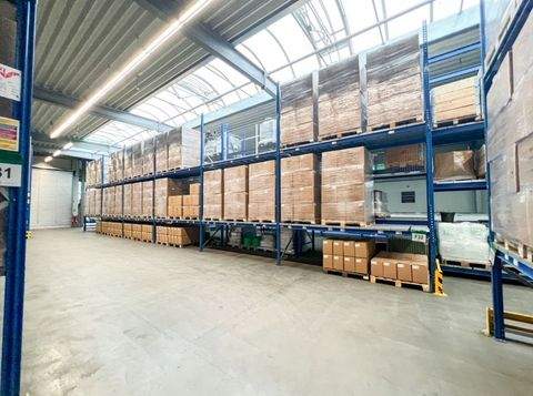 Radeberg Halle, Radeberg Hallenfläche