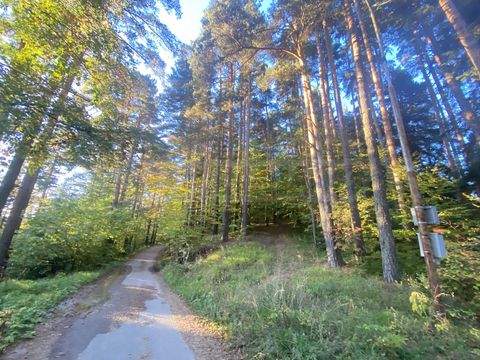 Borovets Grundstücke, Borovets Grundstück kaufen
