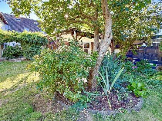 Garten - Sommer | August 2025